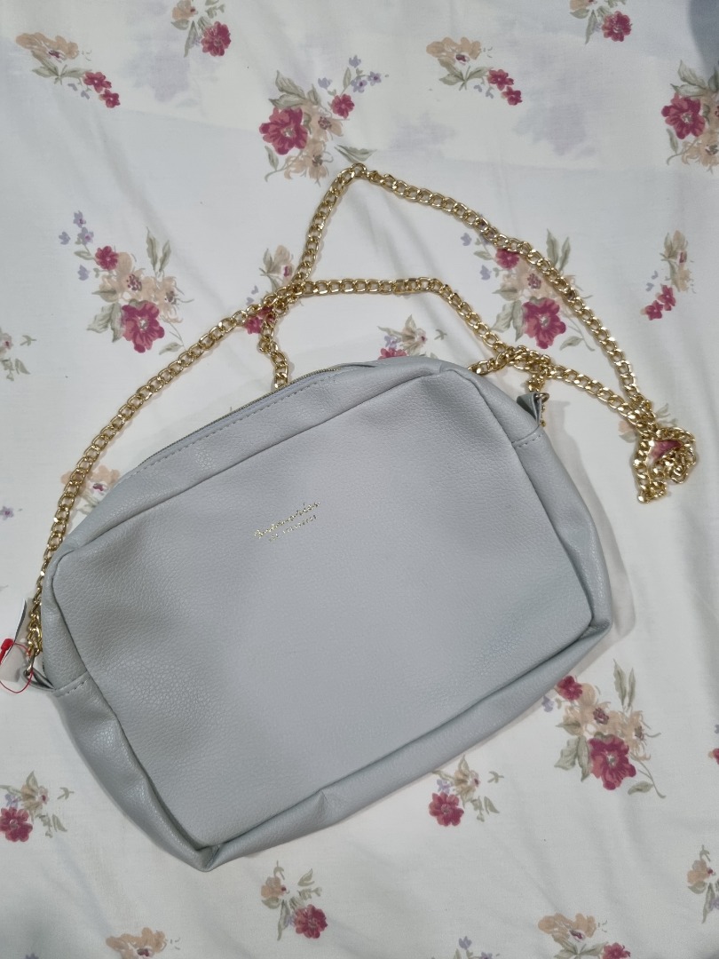 Gold Chain Pouch, Women's Fashion, Bags & Wallets, Clutches on Carousell