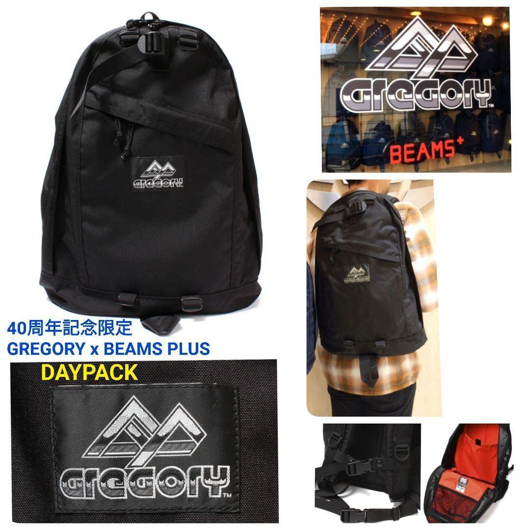 GREGORY×BEAMS PLUS 別注 DAY PACK 未使用品 - バッグ