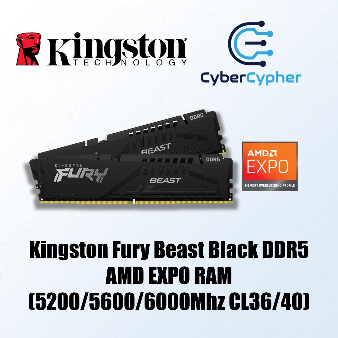 Kingston Fury Beast Black DDR5 AMD EXPO RAM (5200/5600/6000Mhz
