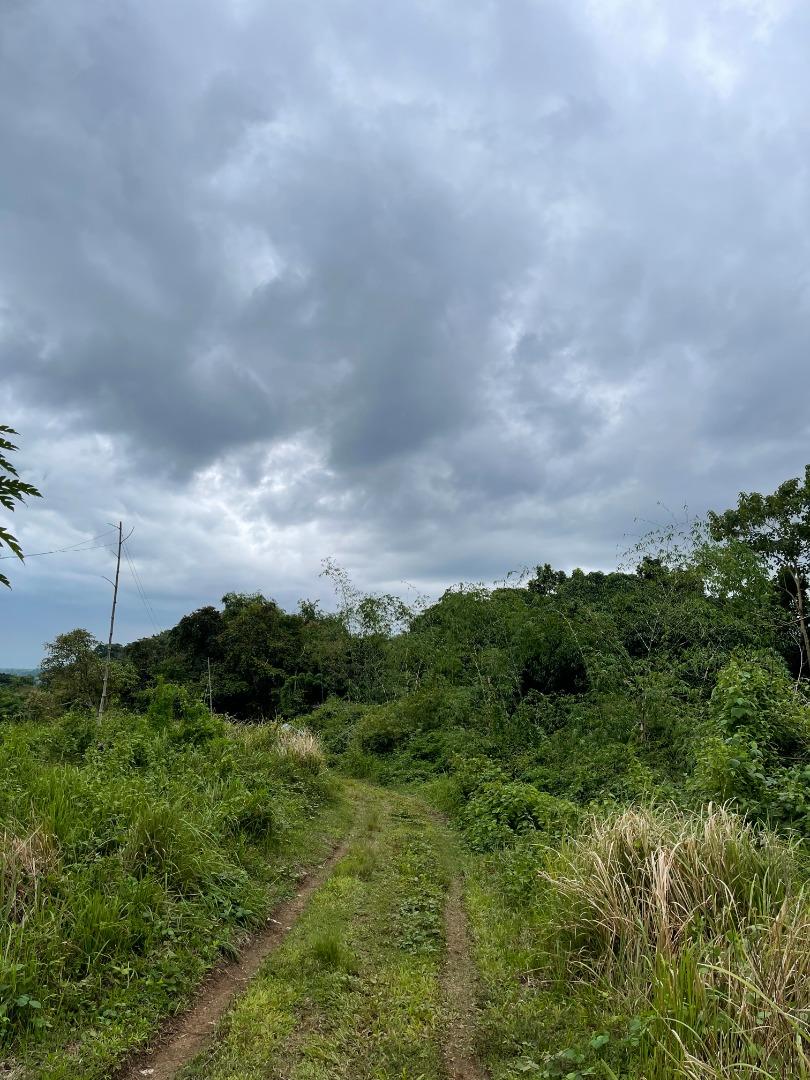 4.9Hec. Land for sale in Norzagaray, Bulacan RUSH! NEGOTIABLE