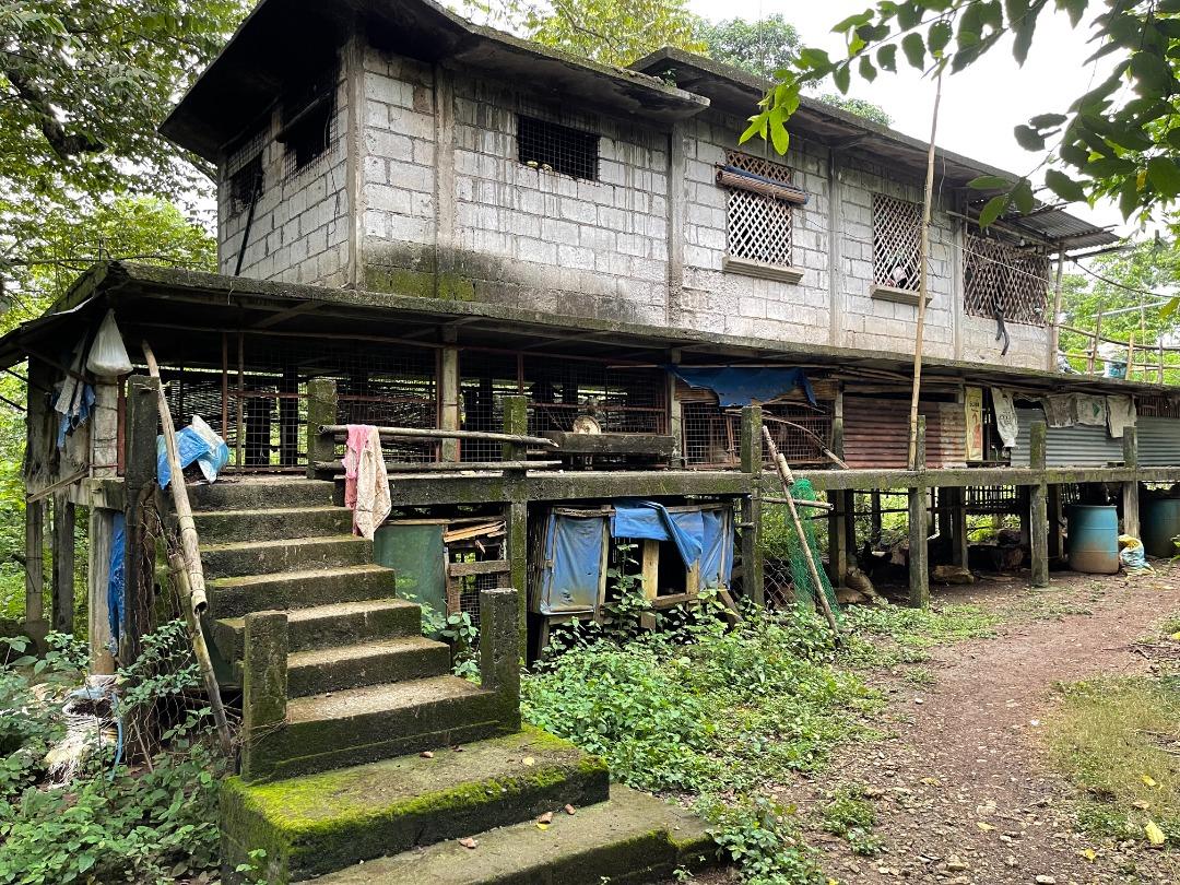 4.9Hec. Land for sale in Norzagaray, Bulacan RUSH! NEGOTIABLE