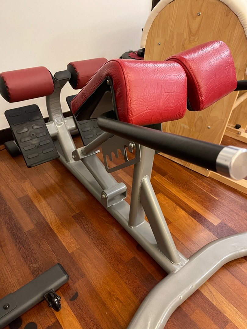 Life fitness store roman chair