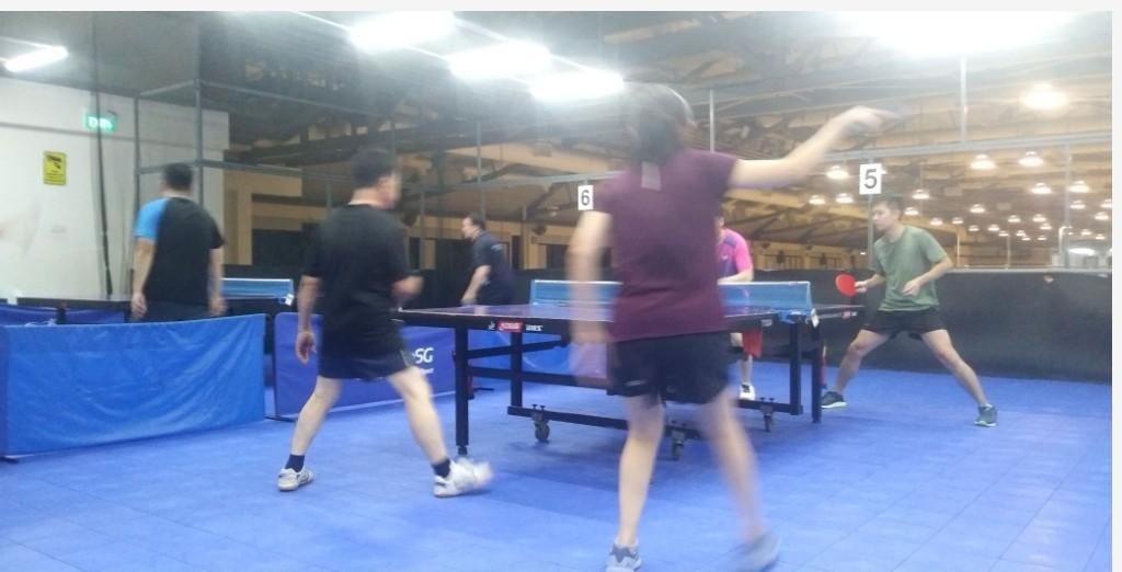 Table tennis meetup at bishan, Sports Equipment, Sports & Games, Racket & Ball Sports on Carousell