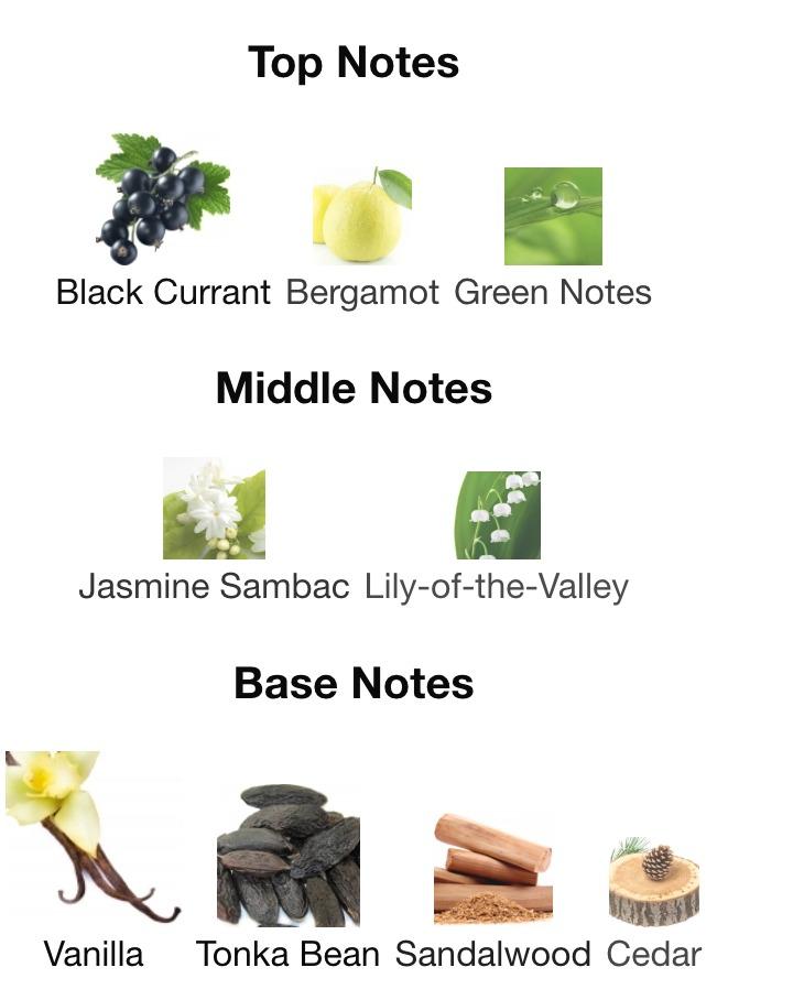 Ysl manifesto notes cheap