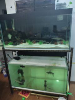(Category: ) located in . Submitted by akuchr (Listing ID 1188967883, Image 1). Description: .