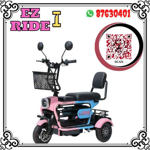 EZ Ride I PMA Electric Tricycle Lithium Battery 48V 8A Home