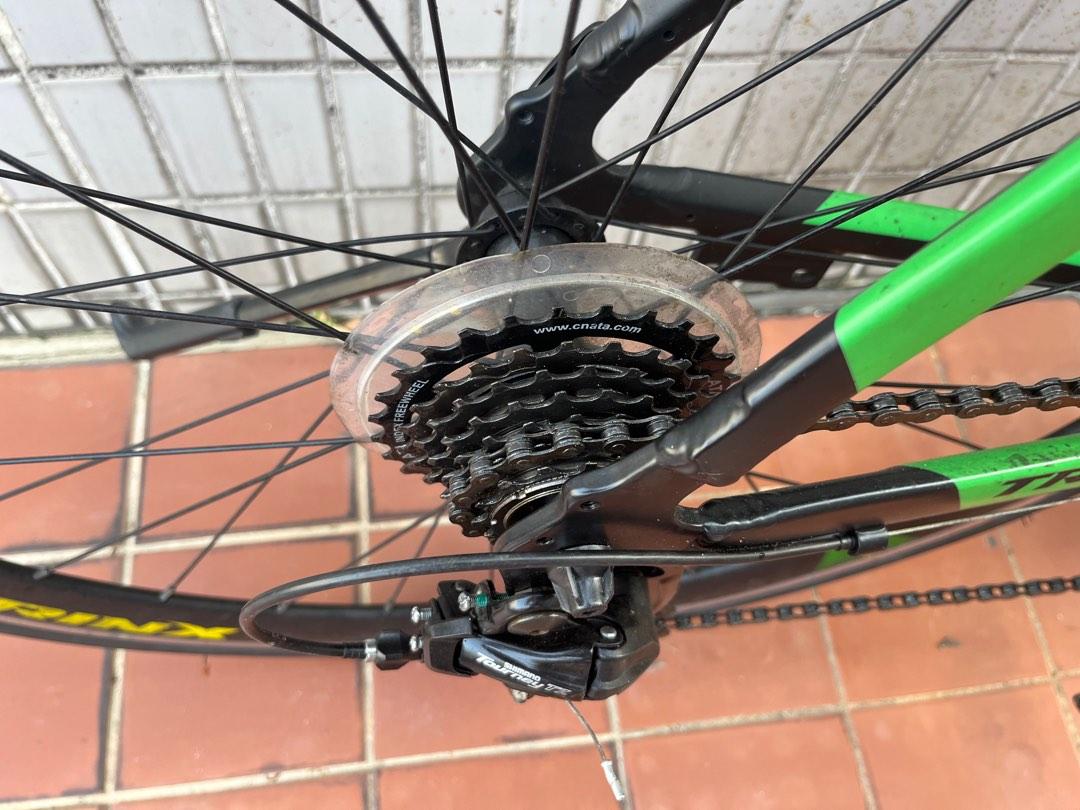 入門公路車 rb road bike trinx tempo1.0（M size), 運動產品, 單車及配件, 單車 Carousell