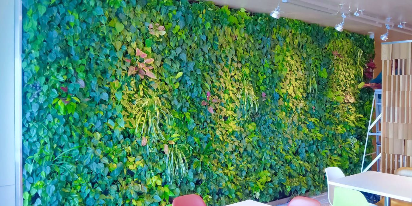 [B&W] Vertical Green Wall Design & Installation/ Maintenance, Furniture