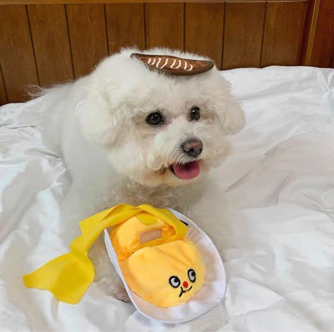 Dog IQ chew toys nosework puzzle interactive , Pet Supplies, Homes