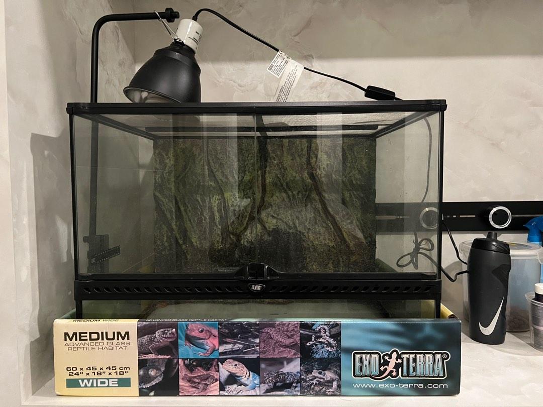 Exo terra medium wide tank, Pet Supplies, Homes & Other Pet Accessories