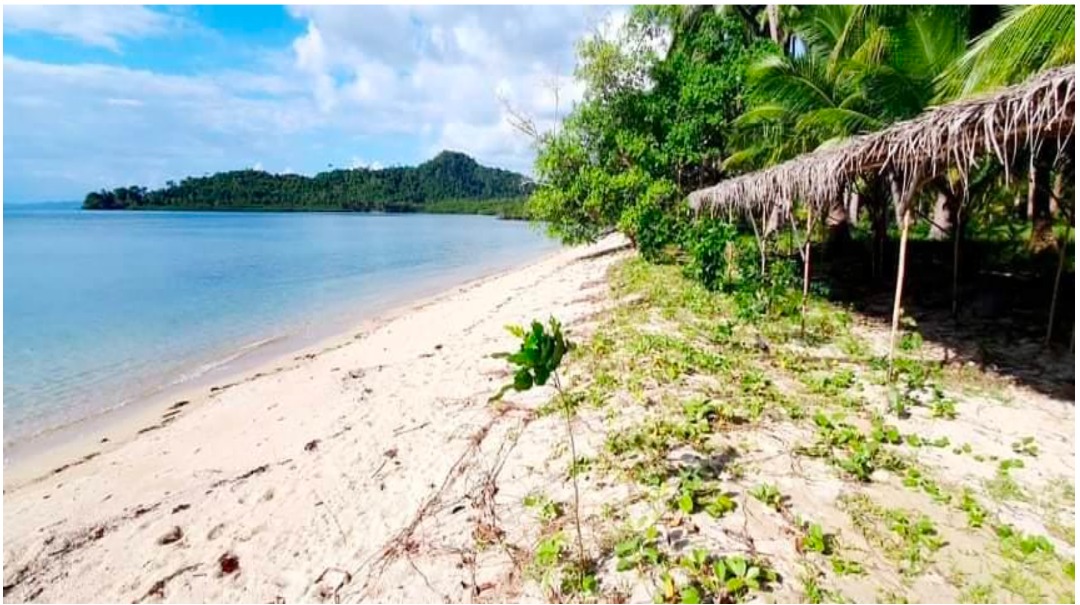 For Sale Beach front in San Vicente Palawan, Property, For Sale, Lot
