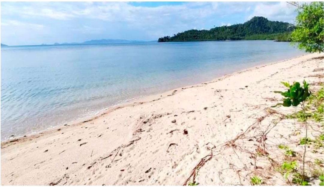 For Sale Beach front in San Vicente Palawan, Property, For Sale, Lot
