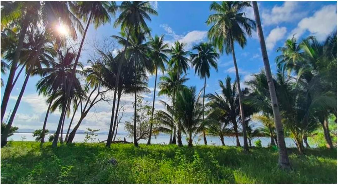 For Sale Beach front in San Vicente Palawan, Property, For Sale, Lot