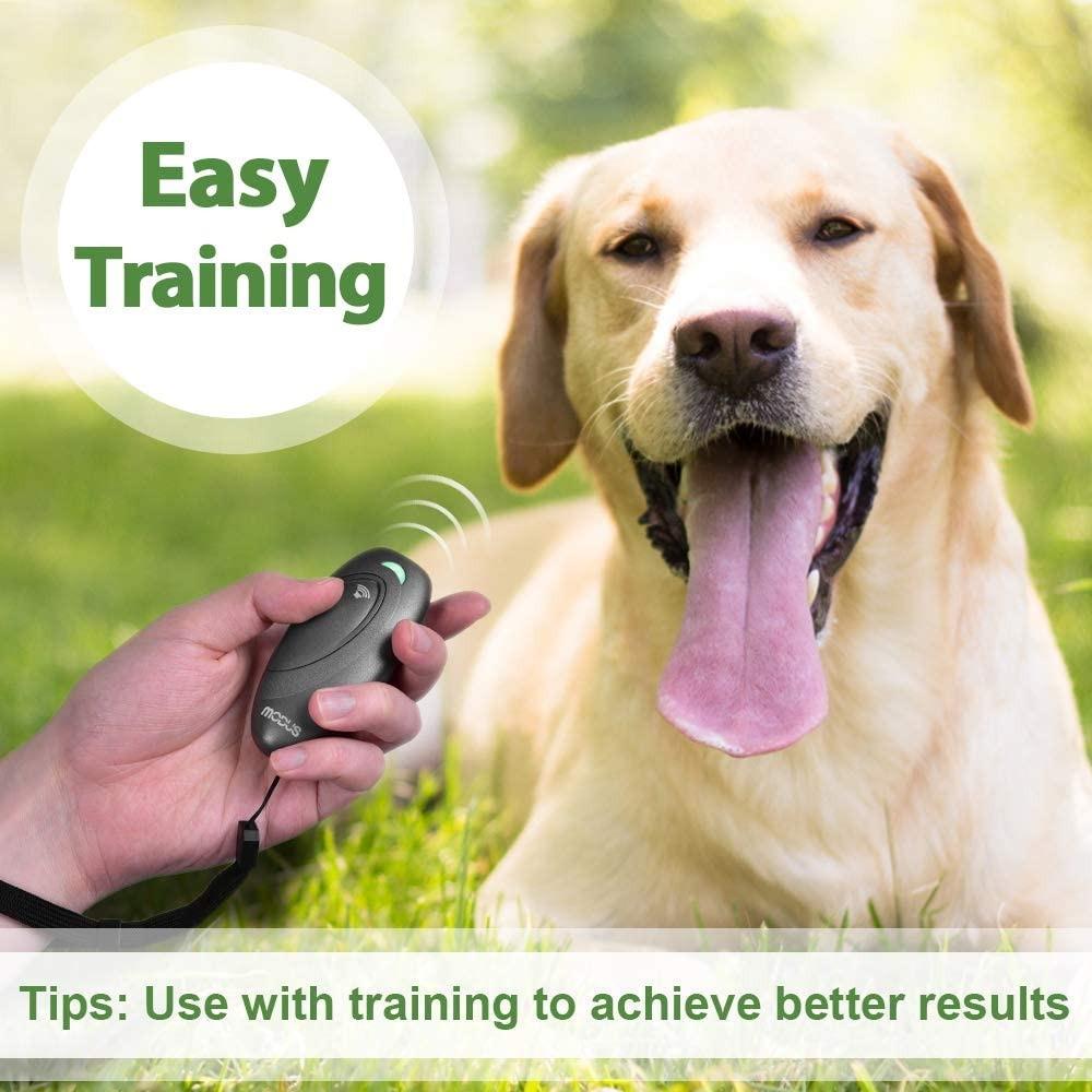 Modus dog trainer clearance