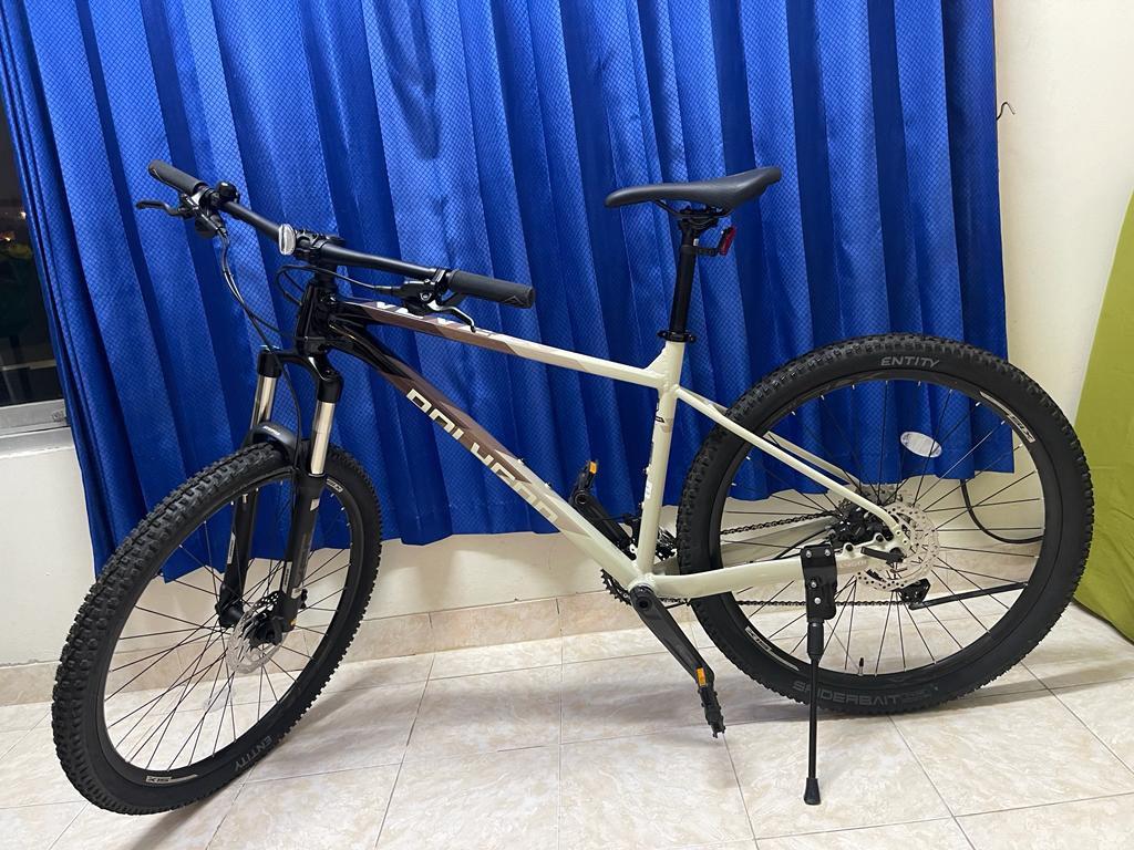 polygon xtrada 8 2021