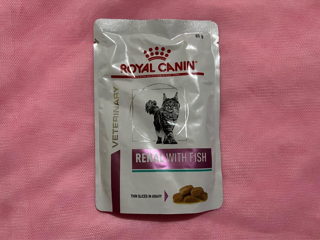 Royal Canin cat food renal, Pet Supplies, Pet Food on Carousell
