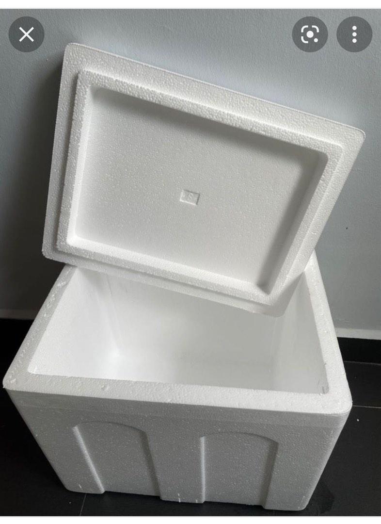 Styrofoam box, Furniture & Home Living, Outdoor Furniture on Carousell