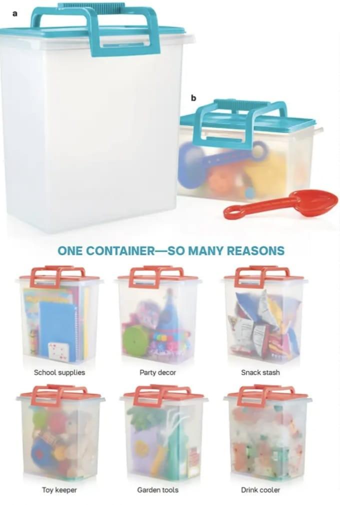 Tupperware Carry-all With Pie Rack & Handle 