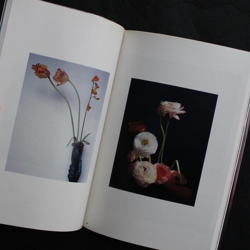荒木経惟写真全集17 花淫初版荒木經惟Nobuyoshi Araki 攝影書攝影集写真集空運到港現貨, 興趣及遊戲, 書本& 文具, 雜誌-  Carousell