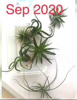 (Category: ) located in . Submitted by hello.2027 (Listing ID 1189322798, Image 1). Description: .