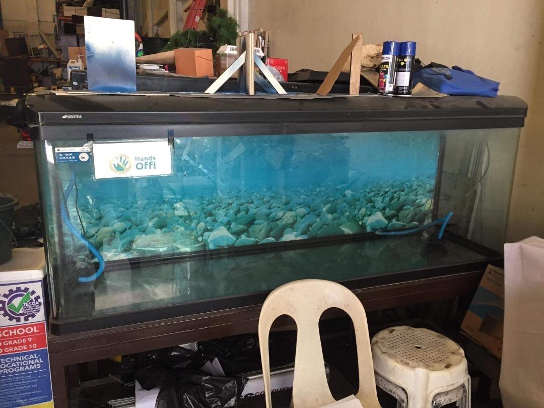 AQUARIUM, Pet Supplies, Homes & Other Pet Accessories on Carousell