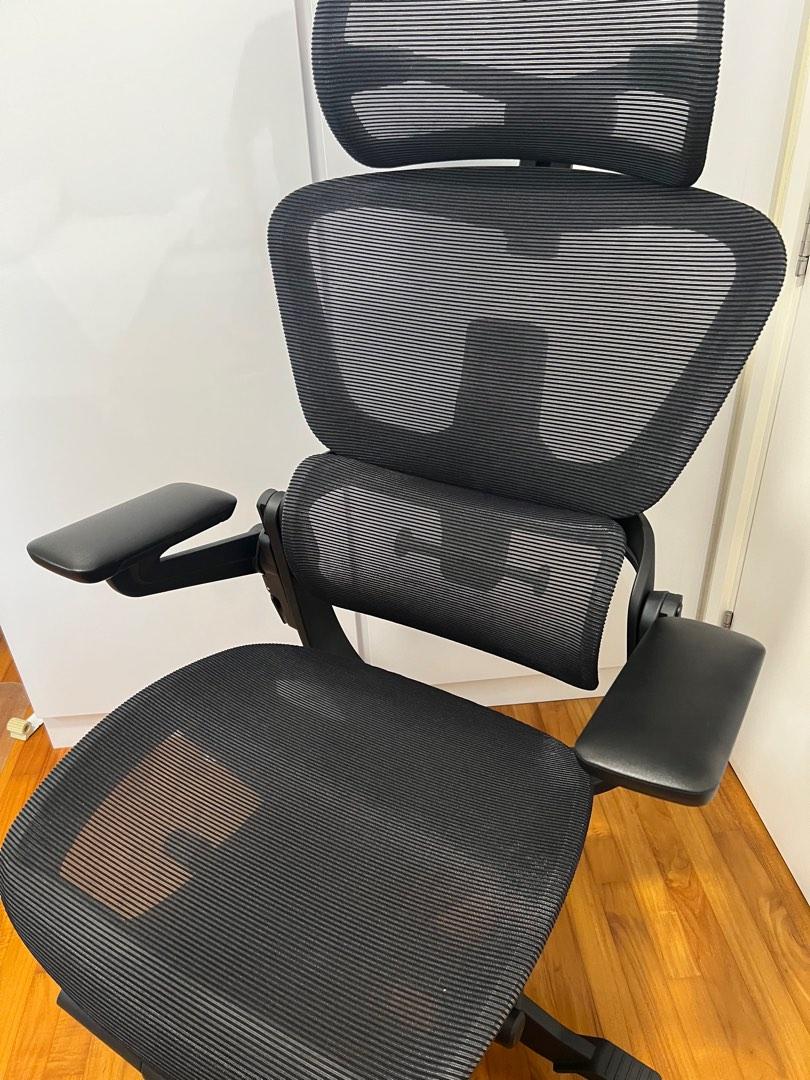 Hinomi H1 Pro Ergonomic Office Chair, Furniture & Home Living, Furniture,  Chairs on Carousell