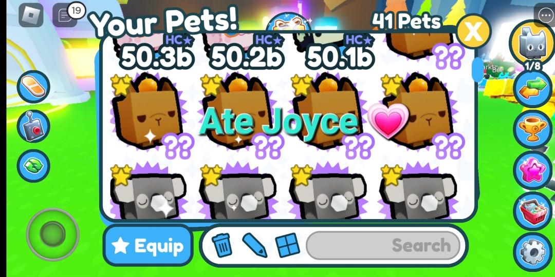 PET SIMULATOR X KOALA, Video Gaming, Gaming Accessories, InGame Products on Carousell