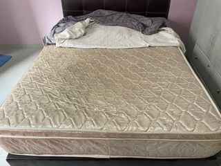 (Category: ) located in . Submitted by mrswonglim (Listing ID 1189269377, Image 1). Description: .