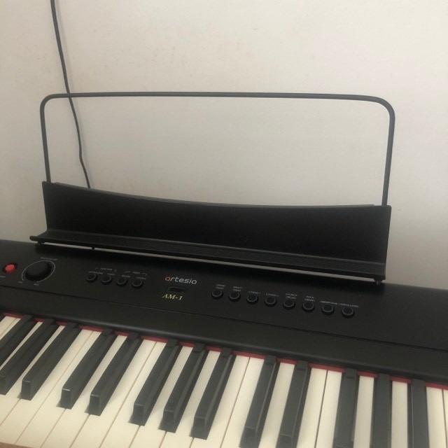 (RUSH) Artesia AM1 Semiweighted digital piano (88 Keys), Hobbies