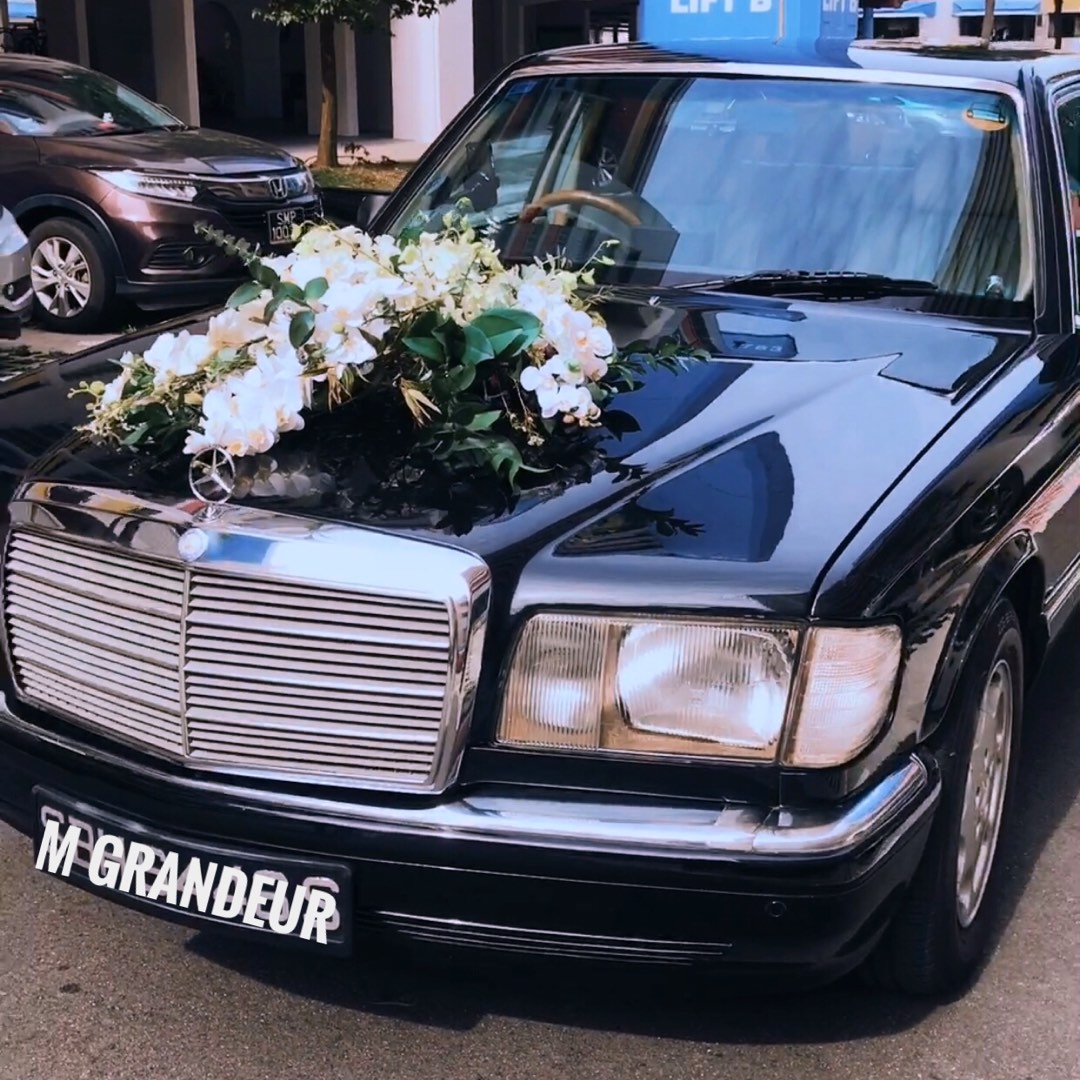 Vintage / Classic Wedding Car Rental (with Driver) Mercedes W126 SEL300, Cars, Car Rental on