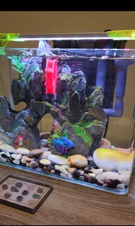 (Category: ) located in . Submitted by Krishy01 (Listing ID 1189431110, Image 1). Description: .