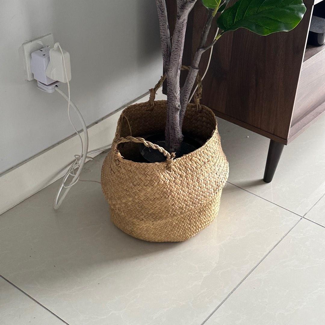 Artifical Fiddle Fig - Pokok Hiasan (120 cm), Furniture & Home Living