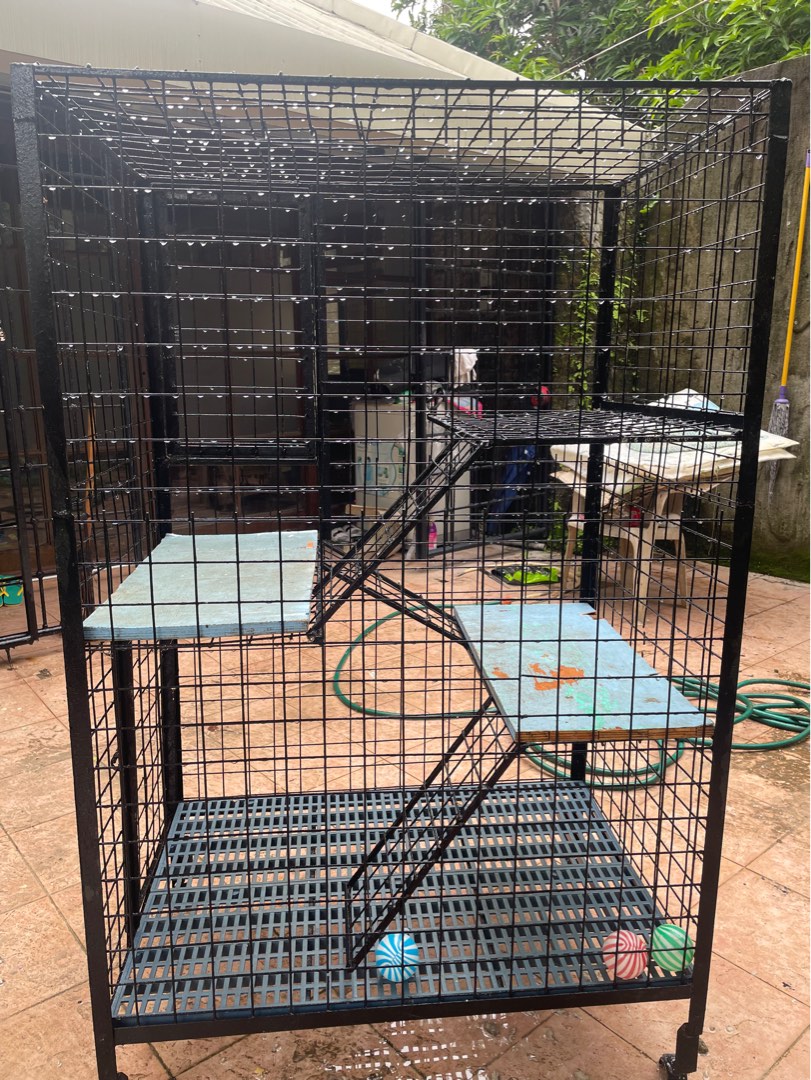 Cat Cage, Pet Supplies, Homes & Other Pet Accessories on Carousell