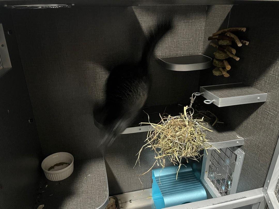 Chinchilla aircon cage, Pet Supplies, Homes & Other Pet Accessories on