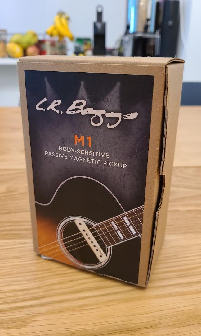 lr baggs m1