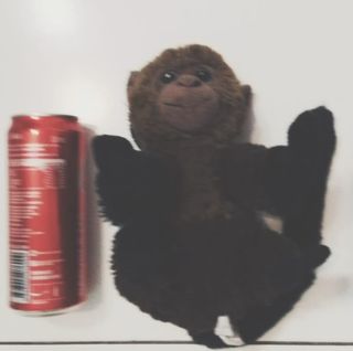 (Category: ) located in . Submitted by ongvvv (Listing ID 1189445894, Image 1). Description: .
