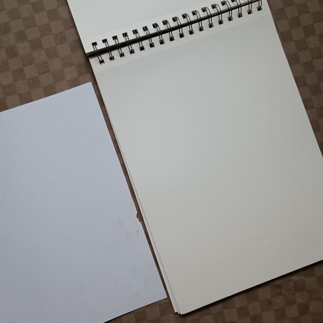 Strathmore 300 Series Drawing Paper Pad, Hobbies & Toys, Stationary