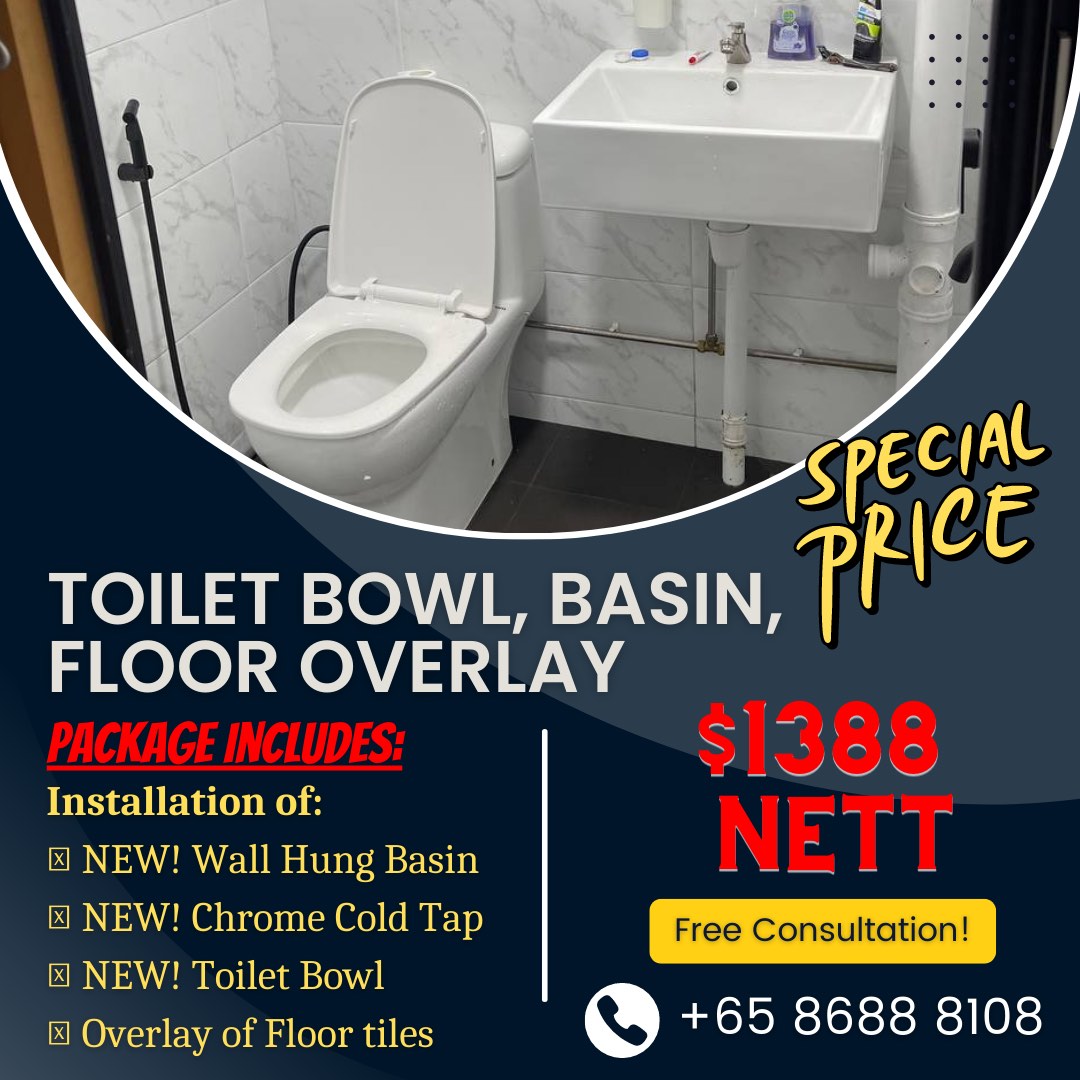 Toilet Overlay with Toilet Bowl and Basin Package, Furniture & Home