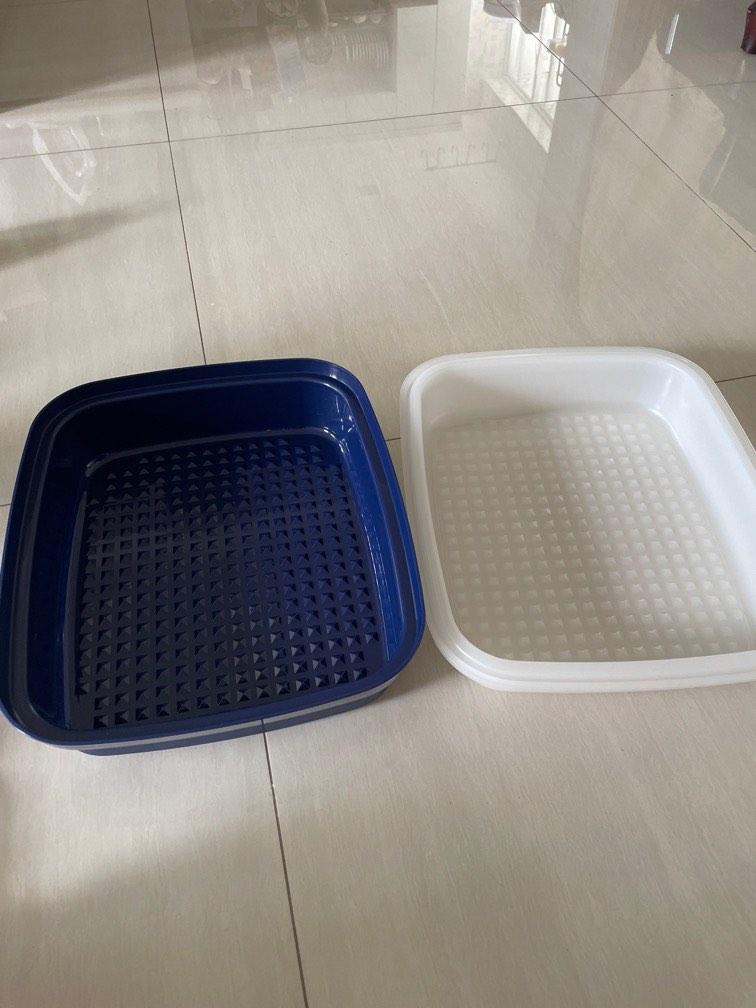 Tupperware, Pet Supplies, Homes & Other Pet Accessories on Carousell
