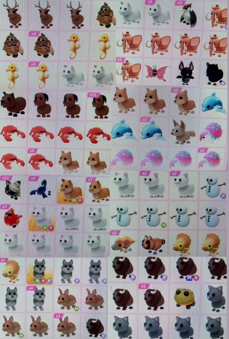 [WTS] Cheap Adopt me Pets, Video Gaming, Gaming Accessories, InGame Products on Carousell