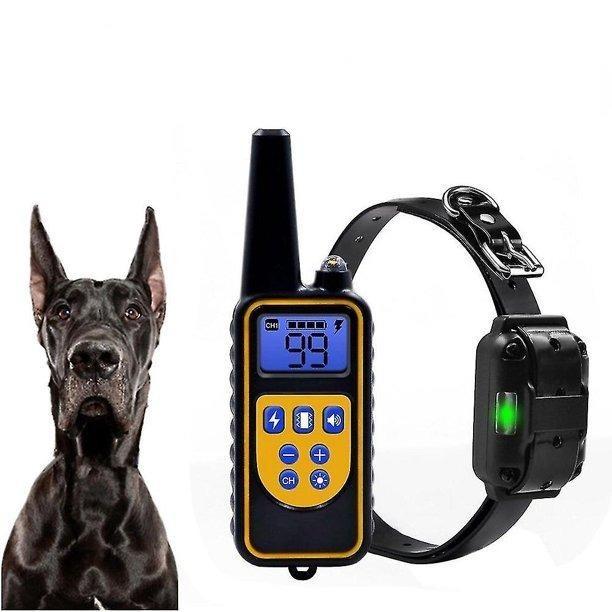 Electric dog hot sale control