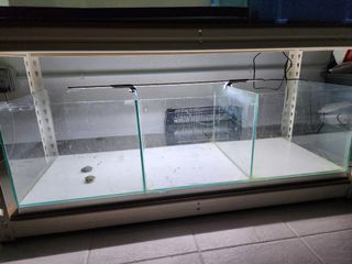 (Category: ) located in . Submitted by zhenwei1234 (Listing ID 1189501494, Image 1). Description: .