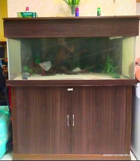 (Category: ) located in . Submitted by Nizam_ (Listing ID 1189540687, Image 1). Description: .