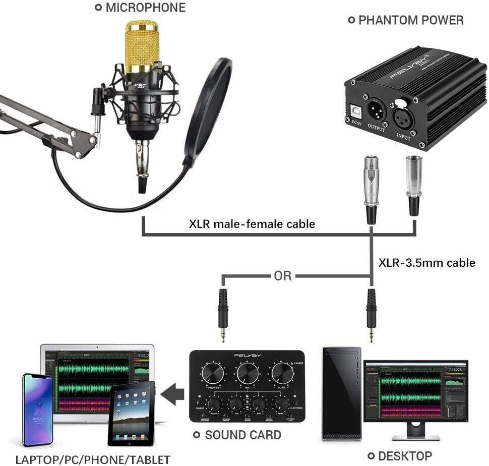 FELYBY Professional Condenser Microphone, Cardioid Recording Mic Kit
