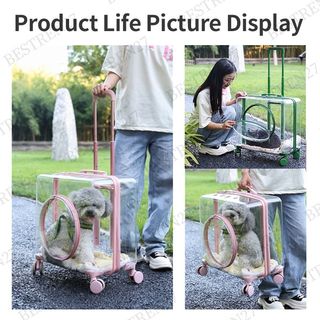 (Category: ) located in . Submitted by bella.carousel (Listing ID 1031941218, Image 1). Description: .