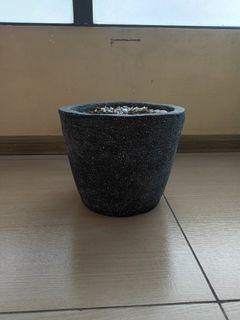 gray pot (large) with soil and stones