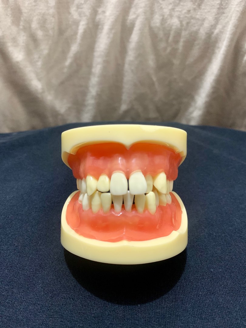 OS Articulator / Oral Surgery Articulator, Health & Nutrition, Medical Supplies & Tools on Carousell