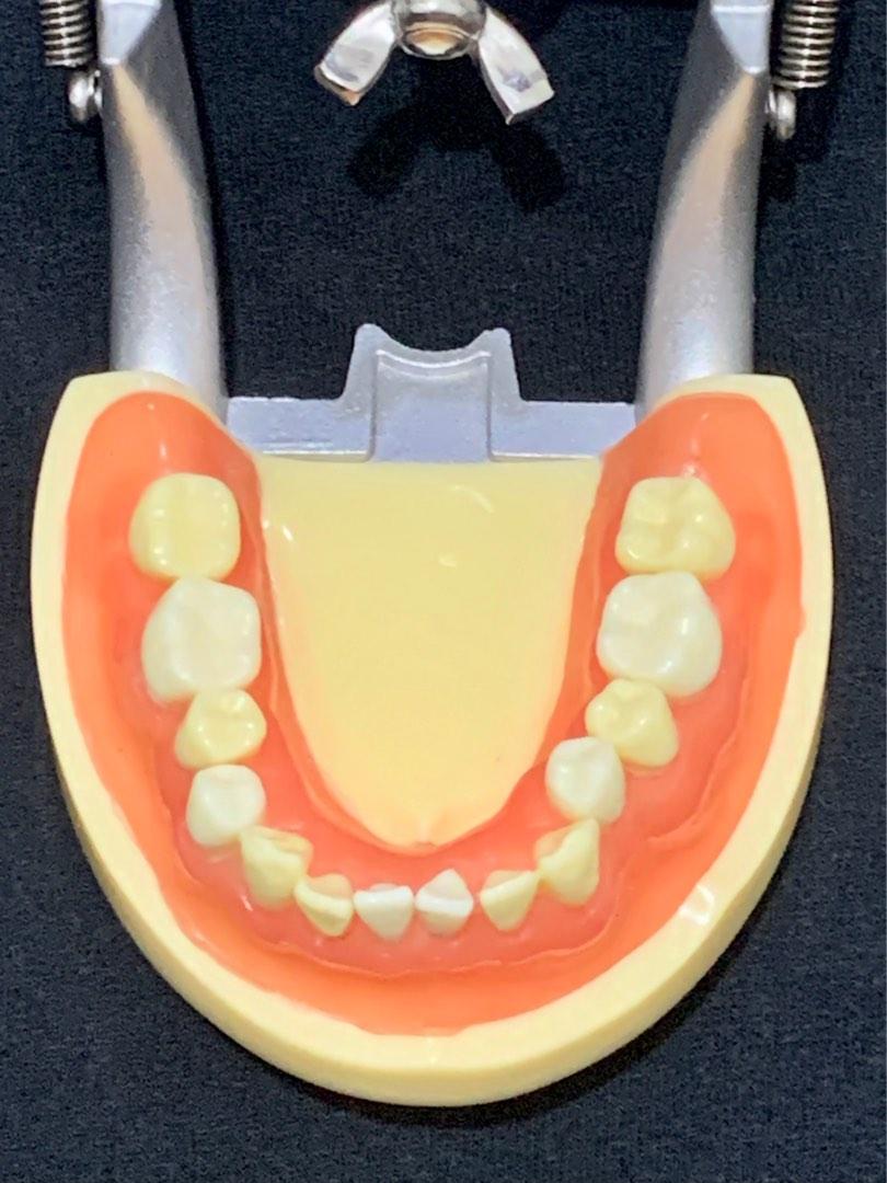 OS Articulator / Oral Surgery Articulator, Health & Nutrition, Medical Supplies & Tools on Carousell