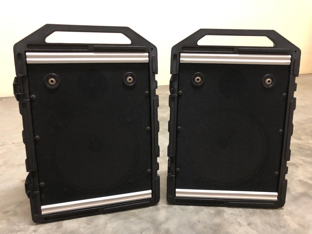 Peavey mini hotsell monitor speakers