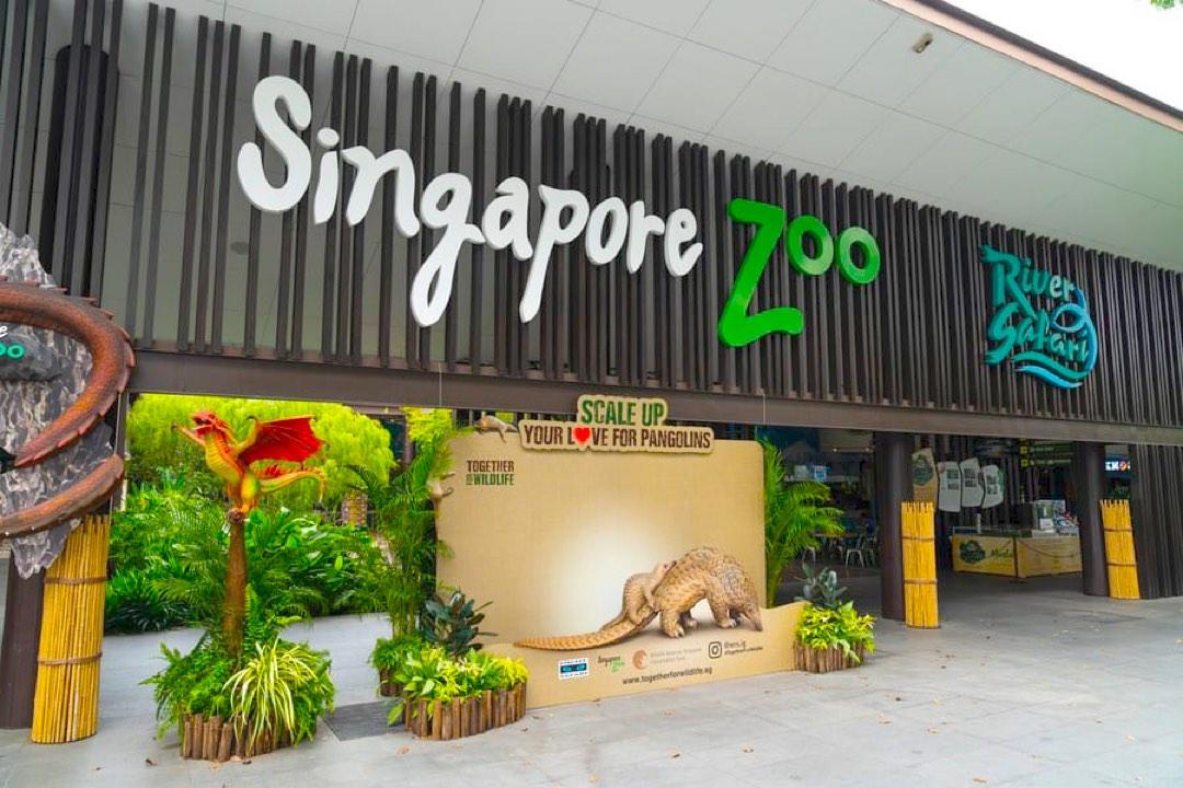 Singapore Zoo, Tickets & Vouchers, Local Attractions & Transport on